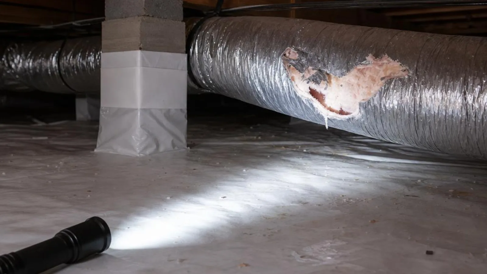 Cooler Norfolk Nights: Rodents and Crawl-Space Flex Duct Damage Cooler Norfolk Nights: Rodents and Crawl-Space Flex Duct Damage