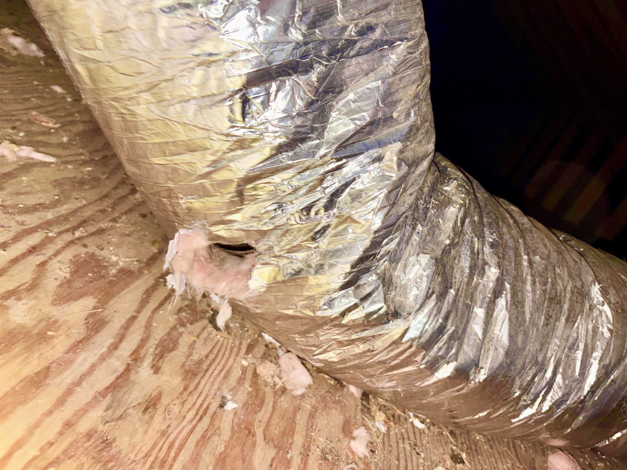 Rodent-chewed flexible air duct line in a home's attic with insulation and nesting debris visible